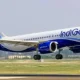 IndiGo