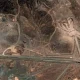 iran damage