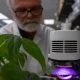Plants emit insect-repelling chemical