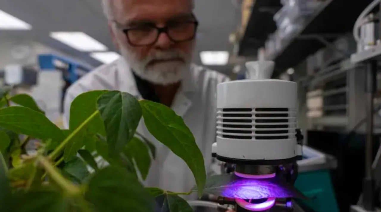 Plants emit insect-repelling chemical