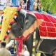 Trisha donate mechanical Gaja elephant Aruppukkottai temple virudhunagar Tamil News