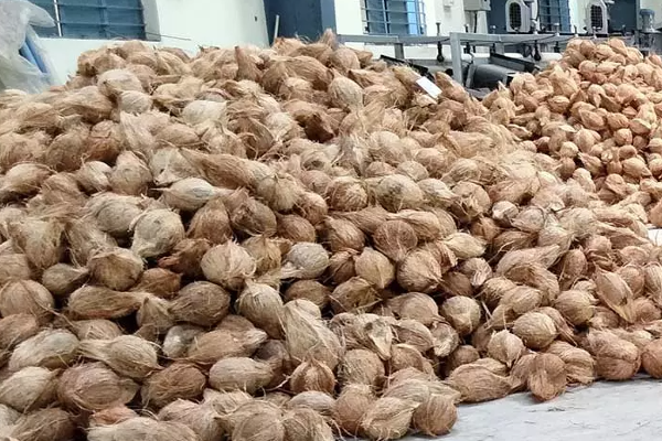 ஆட்டம் காட்டும் தேங்காய் விலை : வெளியான தகவல் | Coconut Prices Have Increased In Sri Lanka