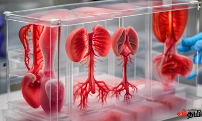 3D Printing Human Organs (1)