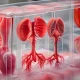 3D Printing Human Organs (1)