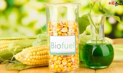 Biofuel