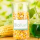Biofuel