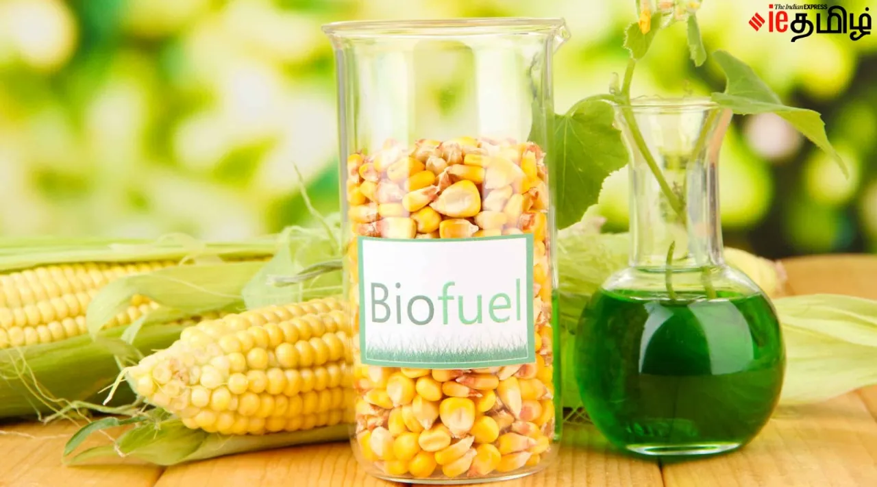 Biofuel
