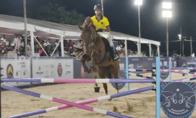 horse 1