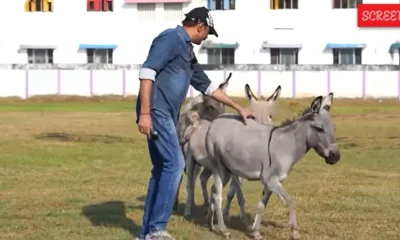 Kazhuthai Selva