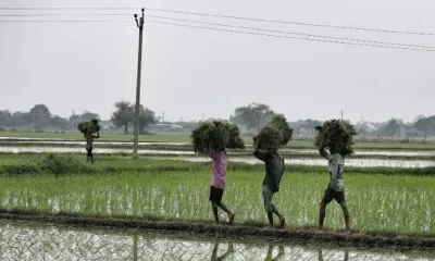 Madhya Pradesh Income certificate