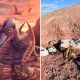 pterosaur