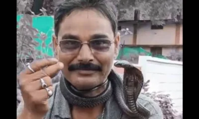 snake bite rescuer