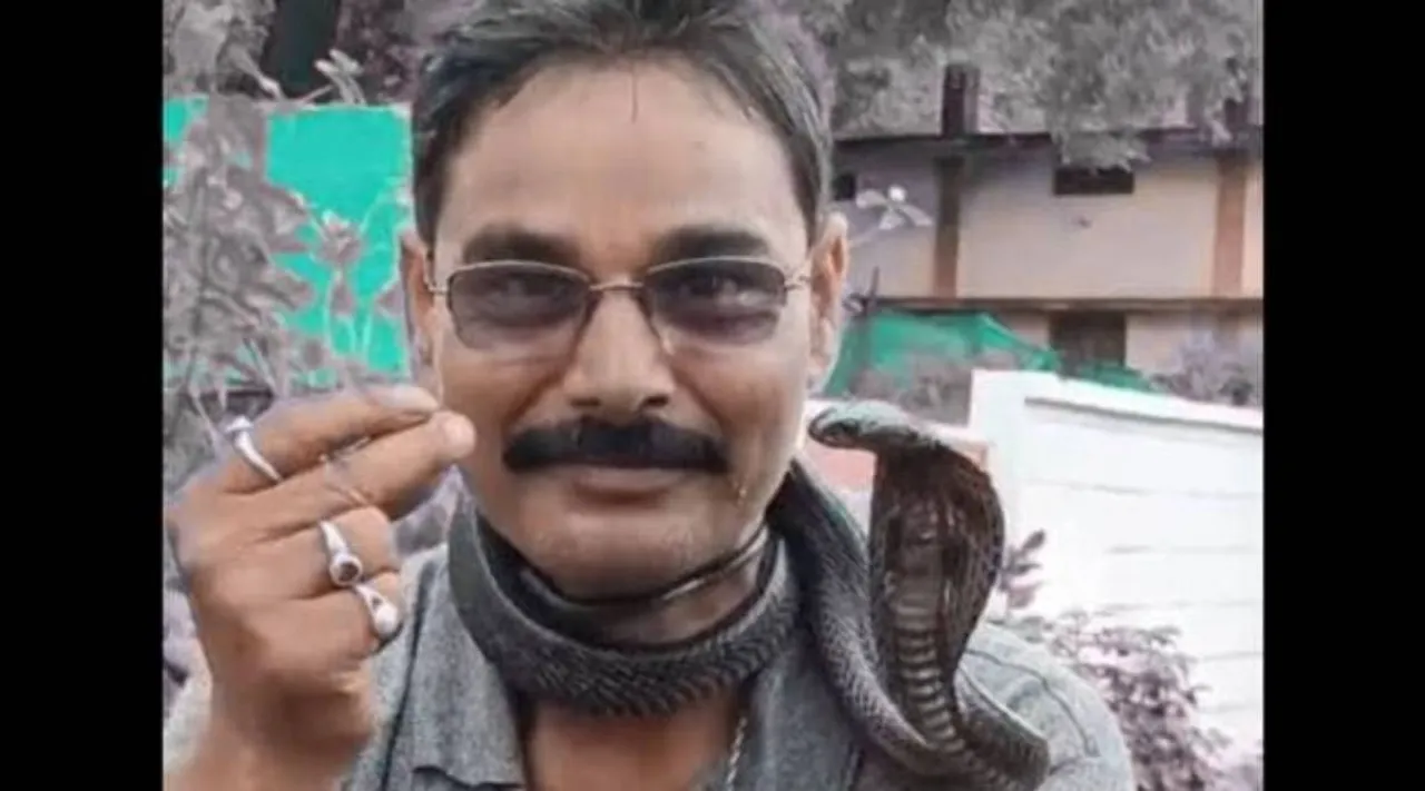 snake bite rescuer