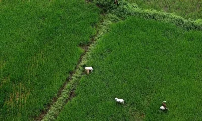 India US trade agricultural exports imports