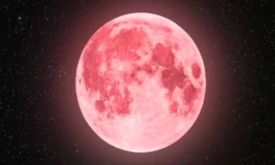 Strawberry Moon