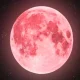Strawberry Moon