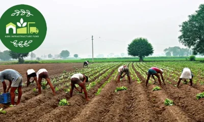 Agriculture Infrastructure Fund