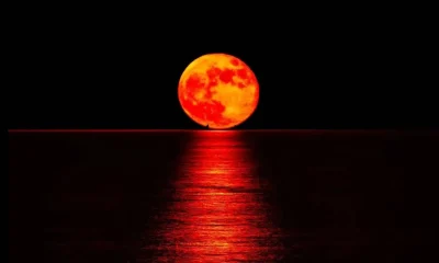 Blood moon 2