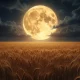 harvest moon (1)