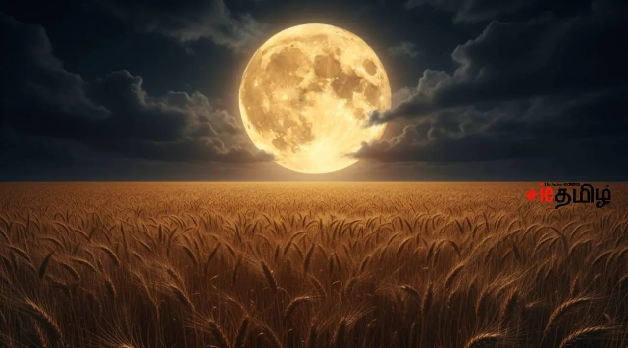 harvest moon (1)