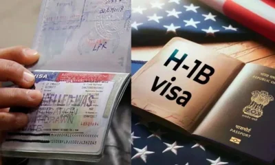 new H-1B