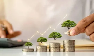 Mutual fund investment