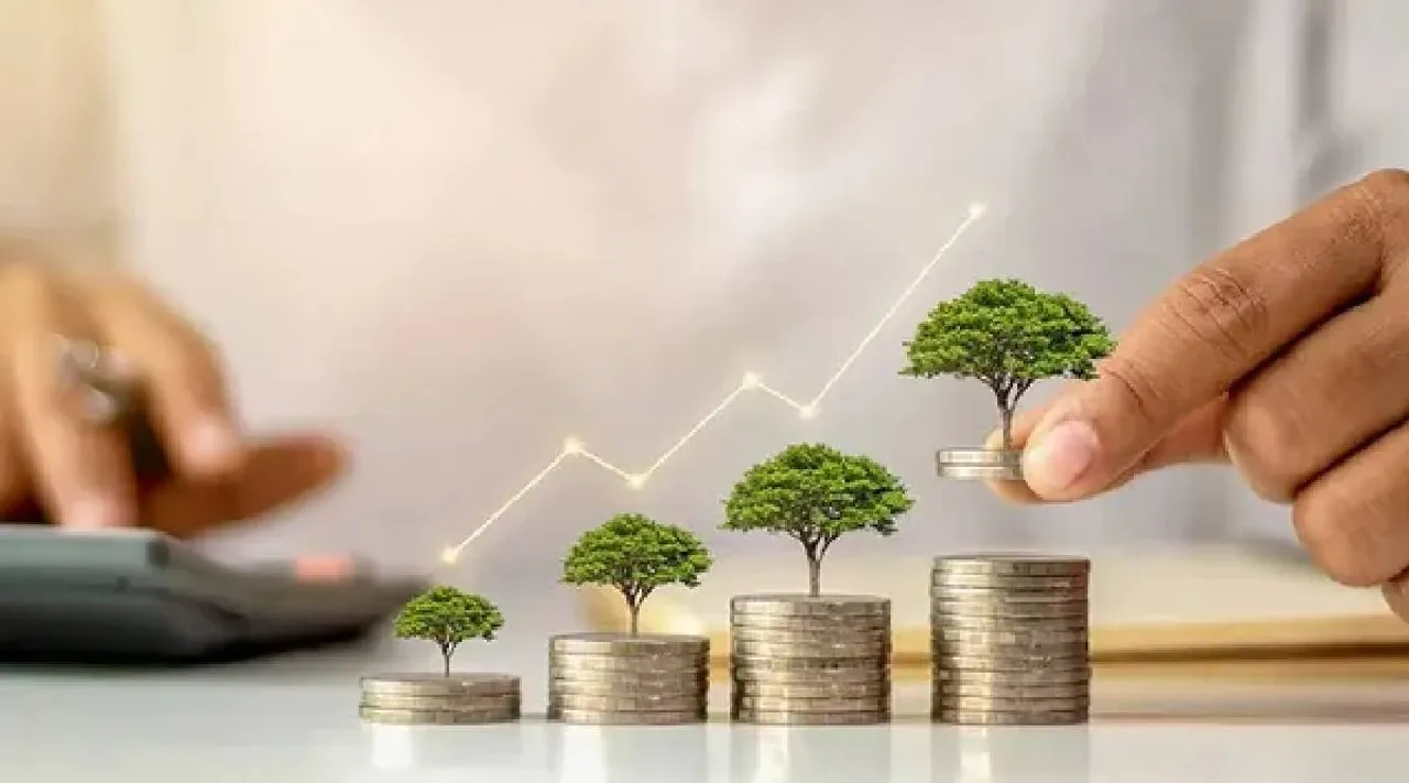 Mutual fund investment