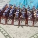 pdy liquor bottles