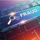 cyber fraud