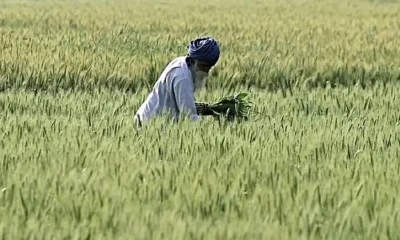 Husband and wife PM Kisan fraud