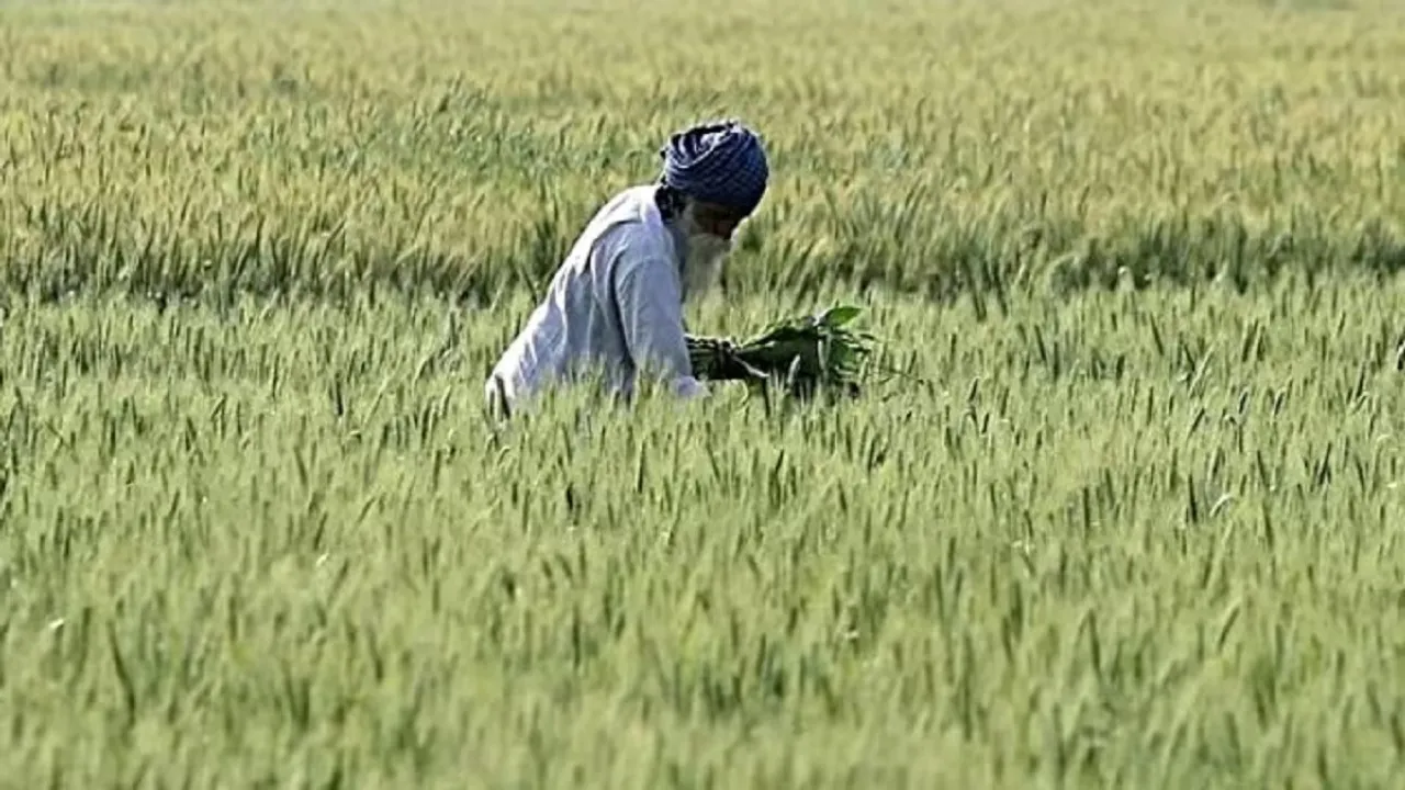 Husband and wife PM Kisan fraud