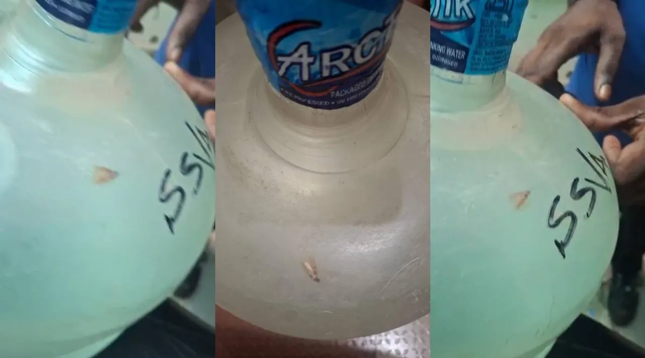 insects in water cane