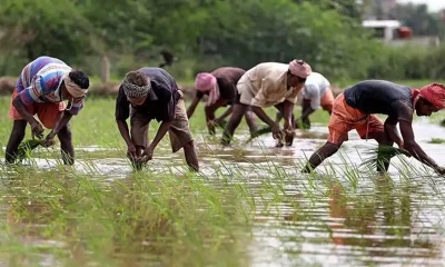 PM KISAN 21st Instalment Date Kisan Samman Nidhi PM Kisan latest updates PM Kisan Diwali