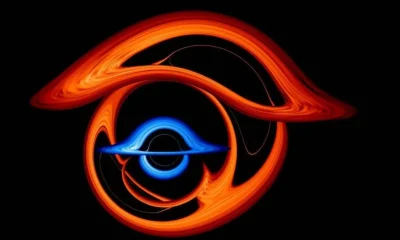 Supermassive Black Holes