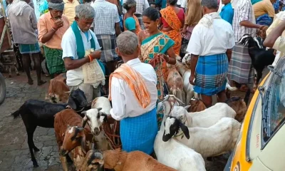 Thirupuvanam Weekly Market