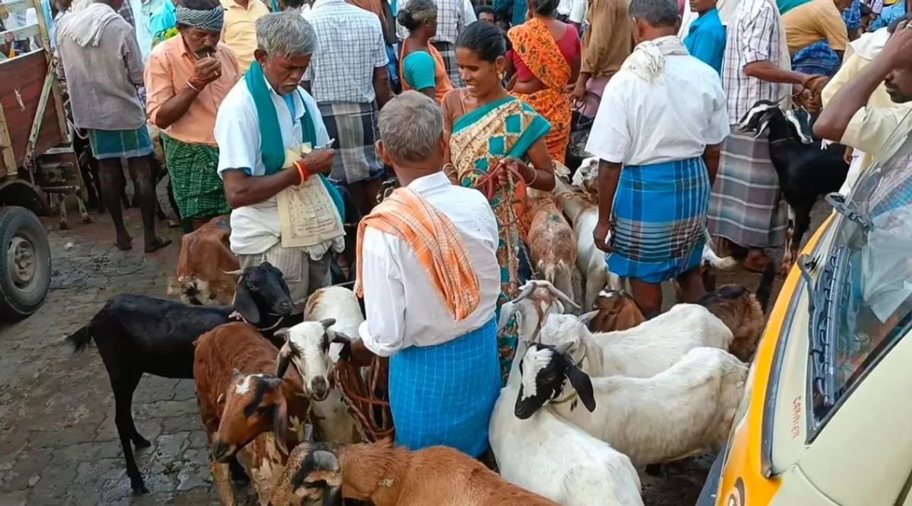 Thirupuvanam Weekly Market