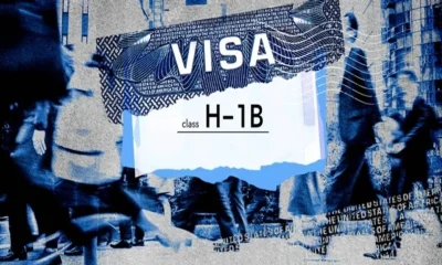 US H1B Visa Bloomberg Law
