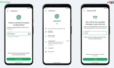 WhatsApp Tests Username
