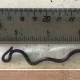 World smallest snake