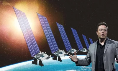 fight climate change