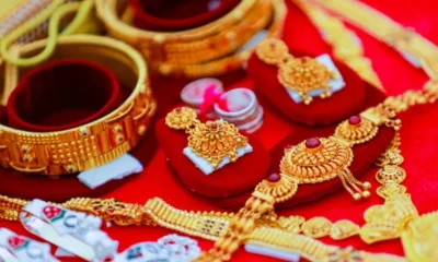 istockphoto-1314782065-612x612 (1)