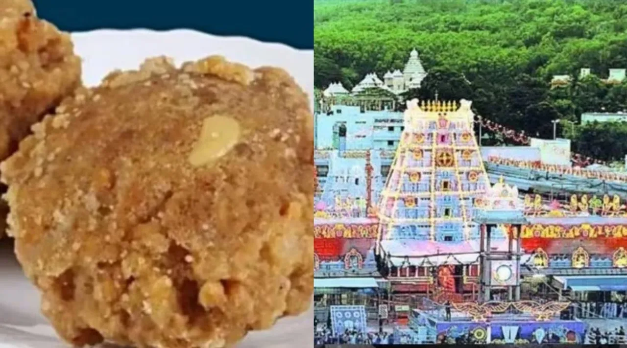 laddu tirupati