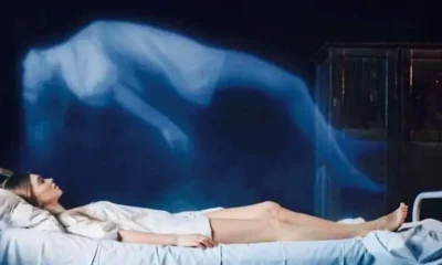 What happens when you die