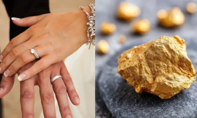 White Gold vs Yellow Gold White Gold price Engagement rings gold