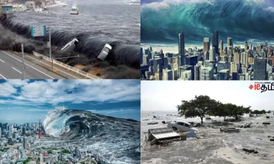 Worst tsunamis
