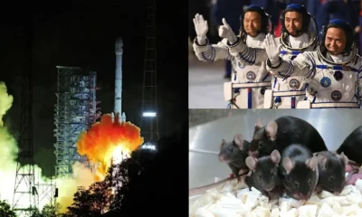 young astronauts and mice