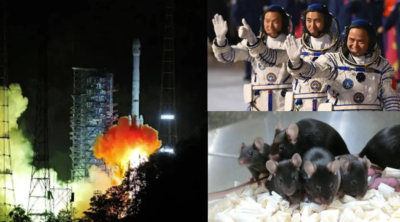 young astronauts and mice